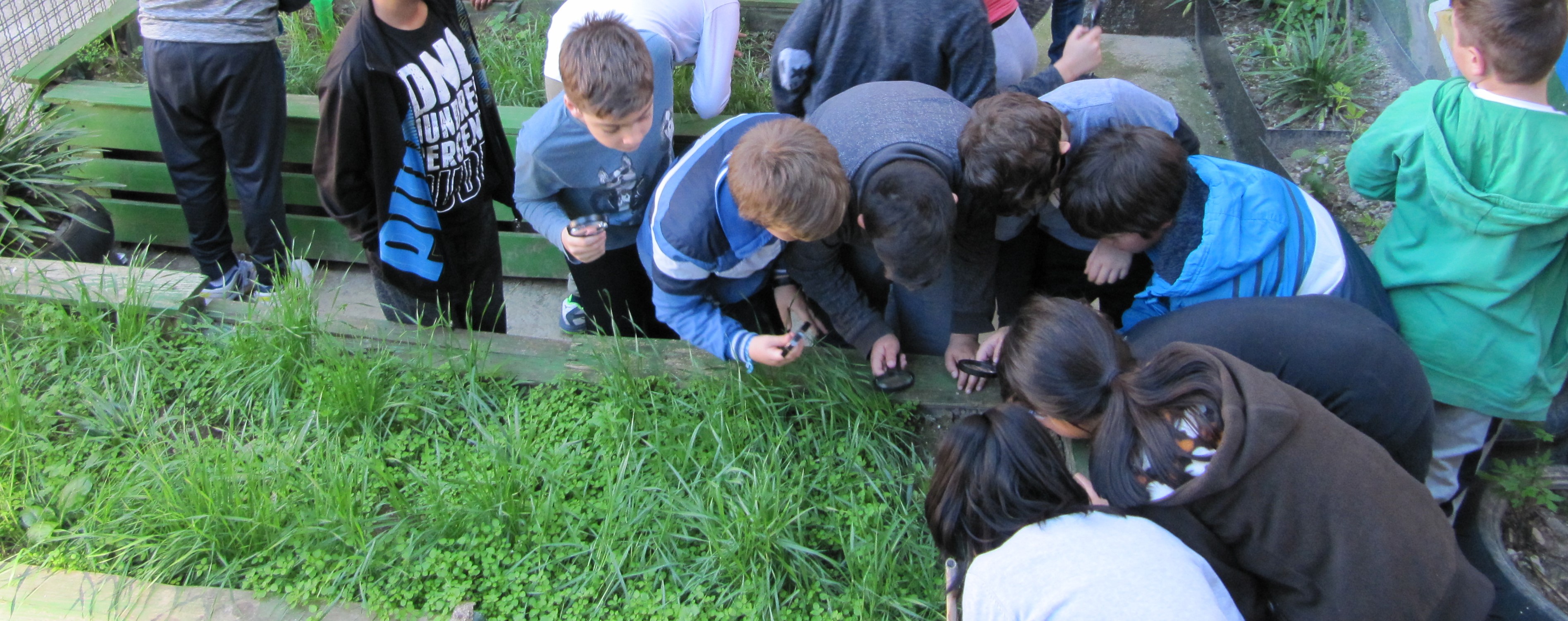 Educación ambiental en acción